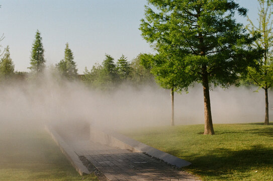 Morning walk in the city park