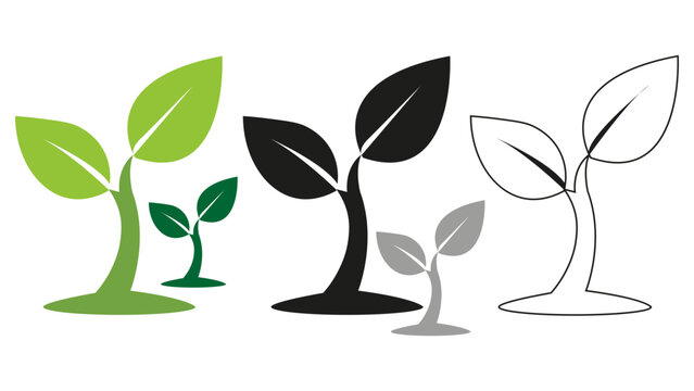 Seedling Growth Vector Illustration Set, Green Plant Sprout Icons in Color, Black, Gray and Outline Styles, Botanical Growth and Nature Concept