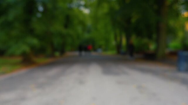 People walking and cyclist passing on park path, blurred foreground, static camera, time lapse b-roll footage