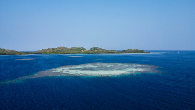 Indonesian reef - Karimunjawa - Java