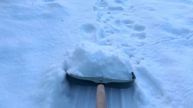 Black plastic snow shovel scooping and pushing thick layer of fresh winter snow from walkway. Man cleaning a backyard path after a heavy blizzard. Active outdoor house care and domestic chore concept