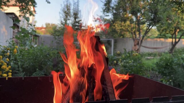 Bright orange fire flames burning wooden logs in a metal brazier at garden. Detailed view of a campfire in barbecue grill in backyard on summer day. Seasonal recreation and country leisure concept