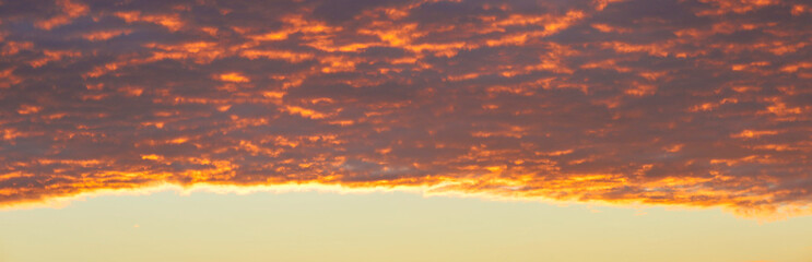 Panoramic fiery sky is filled with dense textured clouds in warm golden orange tones during sunset. Clear lower horizon creates a striking contrast with the vivid cloud layer above. © Олег Струс