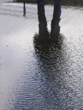 Mensch spiegelt sich in Pf&uuml;tze