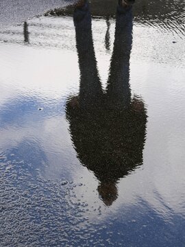 Mensch spiegelt sich in Pf&uuml;tze