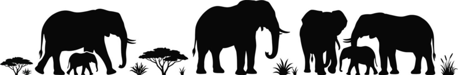 Black silhouettes of an elephant family with adults and calves walking through savanna grass and acacia trees on a white background for © hr graphics