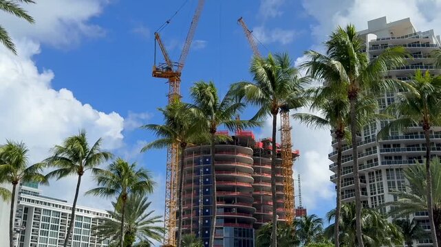 Construction crane OVER high rise building under CONSTRUCTION behind tropical palm trees 03