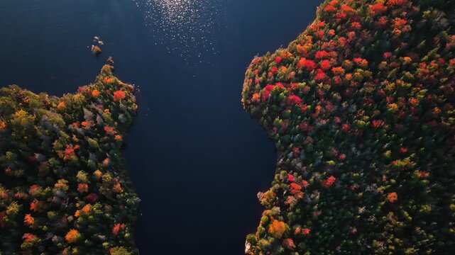 Autumn colors embrace a quiet nova scotia lake in a sweeping aerial view