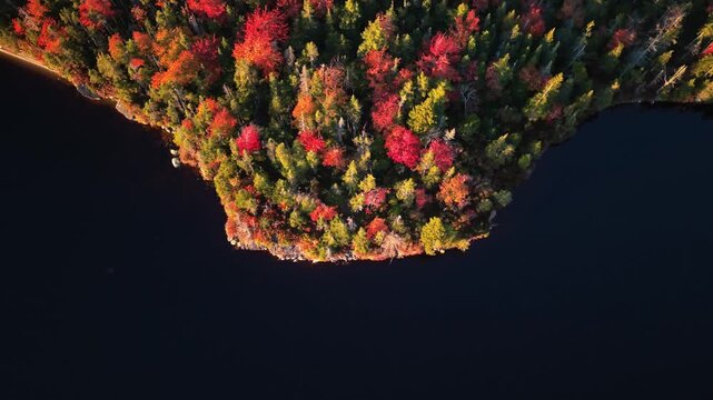 Autumn colors embrace a quiet lake in an aerial view of nova scotia, canada