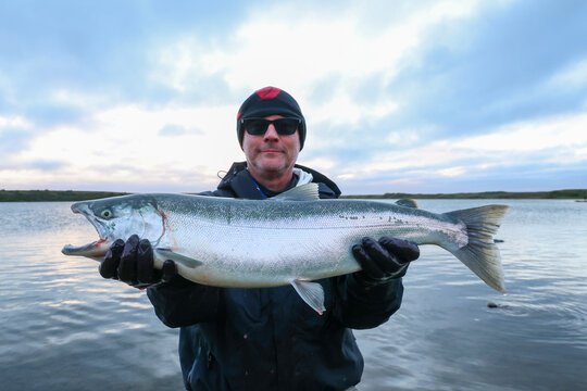 Man fishing for salmon the Egegik river in Alaska. The fighting fish is fun to catch. 