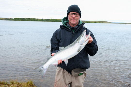 Man fishing for coho salmon the Egegik river in Alaska. The fighting fish is fun to catch. 