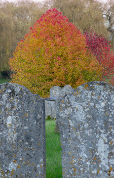 Europe, uk, autumn colour headstones