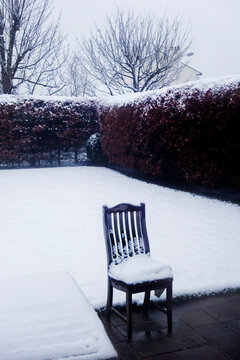 europe, UK, England, garden in winter