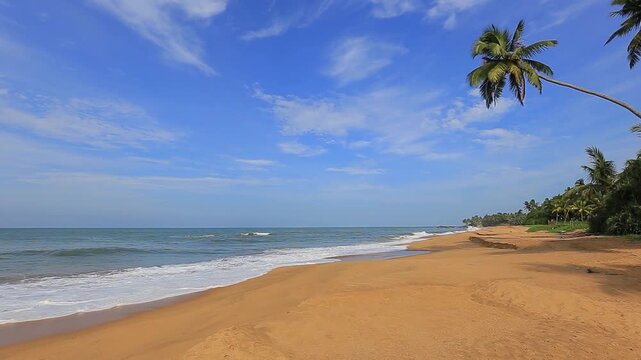 Beautiful sunny beach in Bentota Sri Lanka
