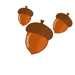 acorn and oak leaf © Agus