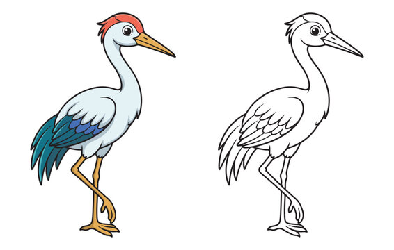 Cute crane bird cartoon illustration with black outline for coloring page activity book. Colored version and line art drawing set for kids.