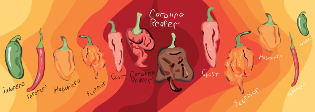 Panoramic Hot Pod Food Festival Banner
