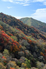剣山の紅葉と次郎笈　徳島県日本百名山 © mitumal 