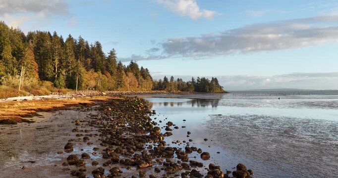 Aerial Flyover of Oregon Coast Tidal Flats and Evergreen Forest at Low Tide