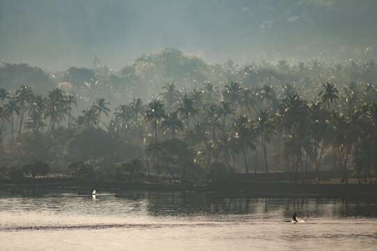 Fishermen off palm forests on the northernmost stretch of beach of Goa, Terekol, Goa, South India, India