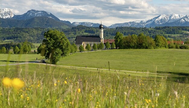 Flower meadow in front of pilgrimage church St. Marinus and Anian in Wilparting, municipality Irschenberg, Oberland, Upper Bavaria, Bavaria, Germany
