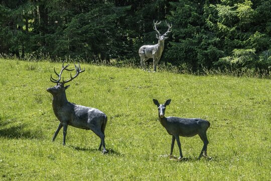 Deer and deer made of metal stand in a meadow, Hinterstein, Bad Hindelang, Oberallg&auml;u, Allg&auml;u, Bavaria, Germany