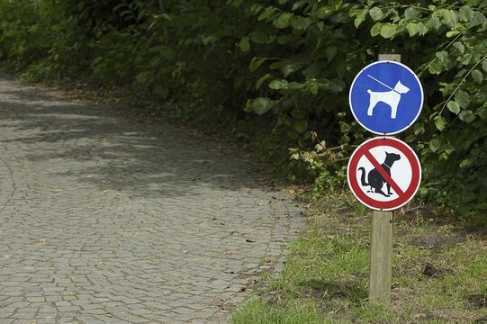 Signs 'Dog excrement prohibited' and 'Dogs on a lead' in a park, North Rhine-Westphalia, Germany