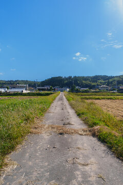 Country Road Running Parallel to Railway Tracks in Rural Japan