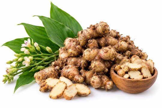 Fresh Kencur Rhizomes with Sliced Roots and Green Leaves on White Background