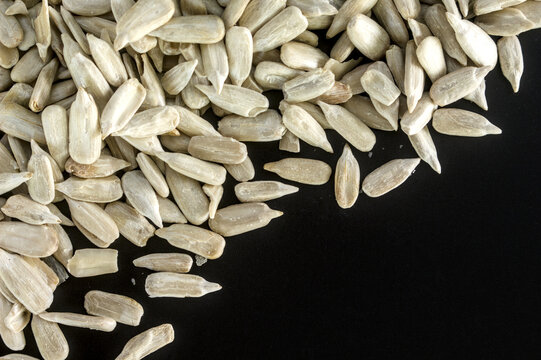 Pile of sunflower seed kernels on black background with copy space