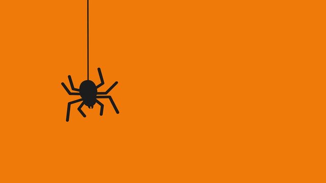 Creepy black spider hanging on a single web strand against a vibrant orange background, ideal