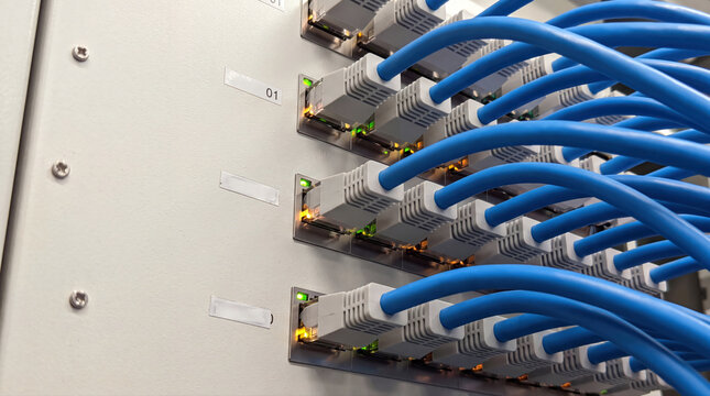 Blue network cables, ethernet patch panel, data center server room
