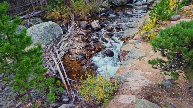 Cascading white water rushes over smooth granite boulders surrounded by dense evergreen pine forests along the scenic Ouzel Falls Trail in Rocky Mountain National Park