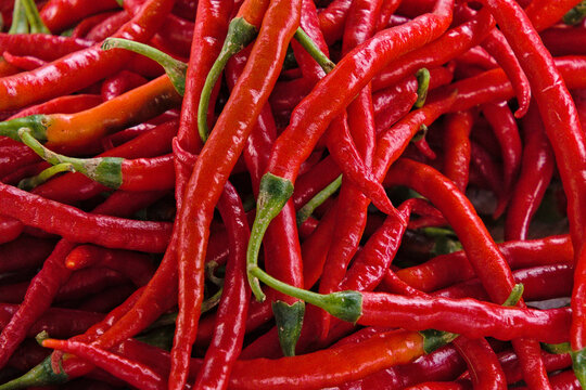 Top view close up of fresh fiery red curly chili peppers full frame background