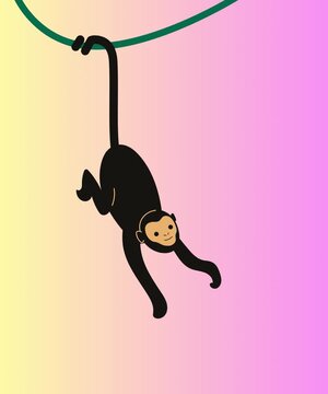 A monkey is swinging from a green vine