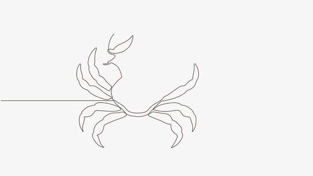 continuous one line drawing crab animation on white background. 