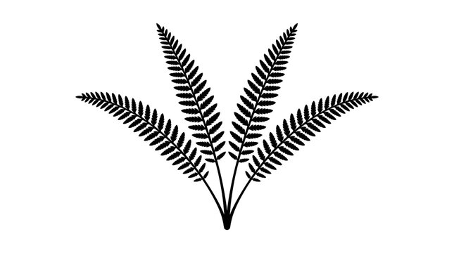 Black silhouette of a fern plant icon isolated on a white background with vector icon illustration