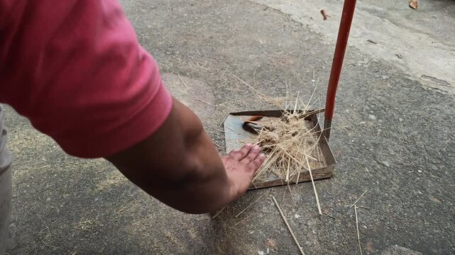 Hand Picking Bamboo Shavings into Dustpan
