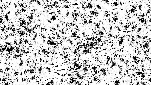 Black speckled pattern on a white background, resembling textured ink splatters or abstract organic shapes for graphic design and artistic purposes.