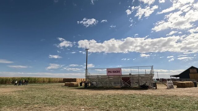 Bleachers for pig races at a festive pumpkin patch farm under a beautiful blue sky in autumn, Boise Idaho