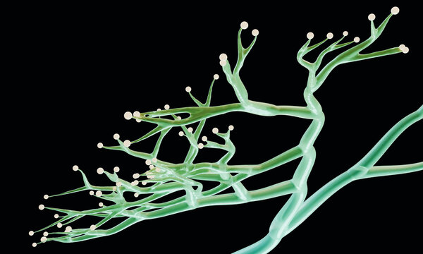 Horizontal 3D branching network reaching across black