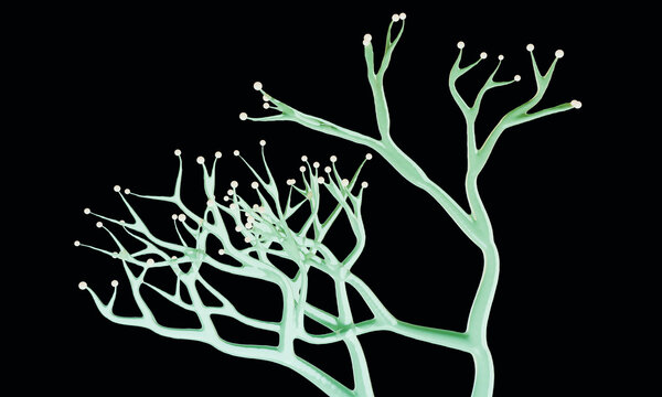 Sculpted 3D Aqua Boughs with Rounded Terminals