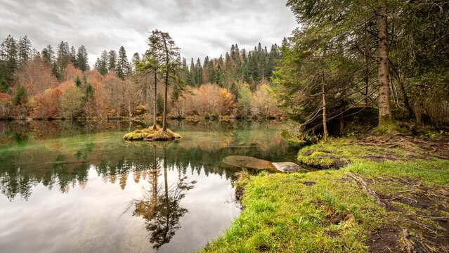 Solitary tree on a tiny island reflected in the mirror-like waters of Lake Cresta near Flims, Switzerland, surrounded by autumn forest, symbolizing tranquility, mindfulness, meditation and inner peace