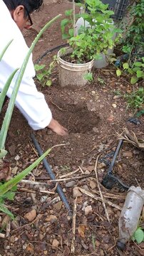 Young Man Removing Soil from Hole Digged in Garden