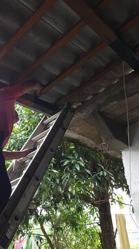 Young Man Climbing Ladder to Apply Treatment to Wooden Beam