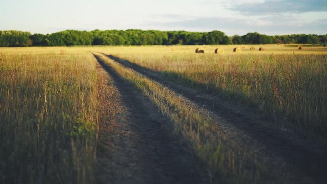 Dirt track through golden meadow toward distant treeline with scattered hay bales under warm afternoon light, rural landscape with grass, pasture, horizon, and soft summer colors