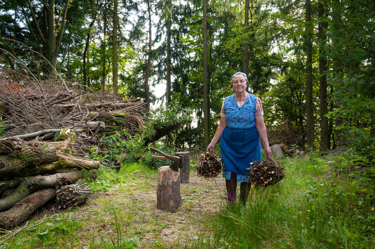 Senior rural woman carrying bundles of firewood sticks in forest with axe and woodpile