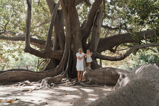 Father helps toddler daughter walk on a giant tree root