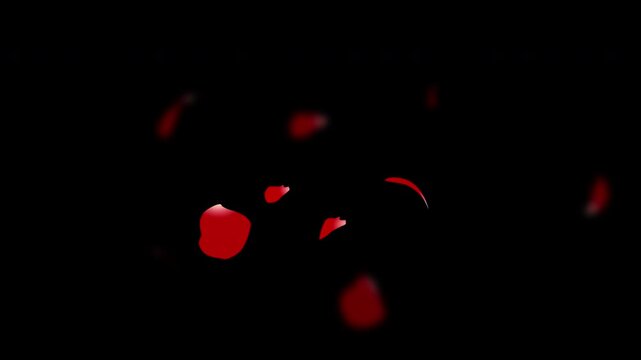 Falling bright red rose petals with the alpha channel. easy to use place on footage or background.