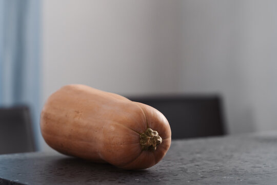 Whole butternut squah on concrete countertop
